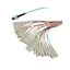 MPM24OM4-SCR-10 MPM24OM4-SCR-10