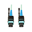 N846-01M-24-P N846-01M-24-P