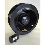 OAB22599-22-1B