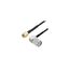 LCCA31191-FT1 LCCA31191-FT1