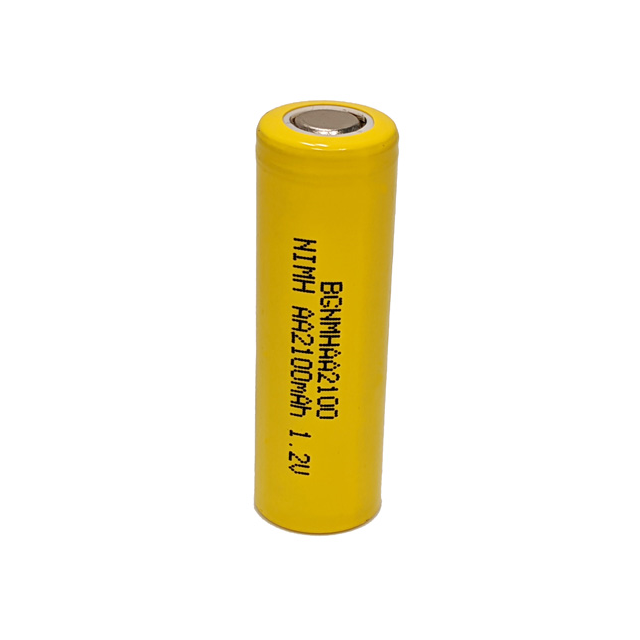 BGNMHAA2100 BGNMHAA2100