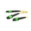MPM24212SMZ-CA-5 MPM24212SMZ-CA-5