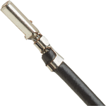 Molex-0797581011 Cable Assembly Other Cable Assembly UL 1061 0.3m 24AWG Terminal to Terminal 1 to 1 POS M-M Crimp-Crimp CLIK-Mate Bag