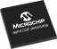 dsPIC33FJ64GS406 product image