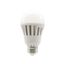 12-Watt 125DC LED Bulb