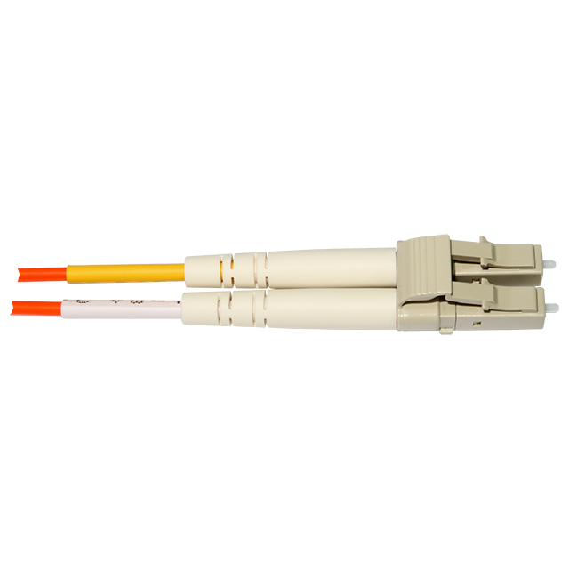 C31-2020m-1FT C31-2020m-1FT