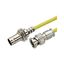 PE38132-36 PE38132-36