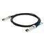 C-SARSDE-PDAC5M C-SARSDE-PDAC5M