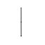 LCMV42-TS LCMV42-TS