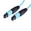 MPMM6OM3-100 MPMM6OM3-100