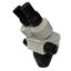 I-23 Stereo Microscope Head