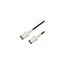 LCCA31173-FT1 LCCA31173-FT1