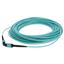 C-MPOMPO-25M5OM4 C-MPOMPO-25M5OM4