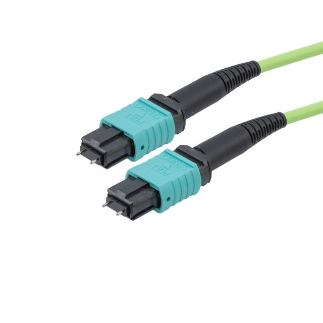 MPMM24OM5AP-1 MPMM24OM5AP-1