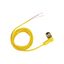 M12CM-EXTT-K-RF-1.5 M12CM-EXTT-K-RF-1.5