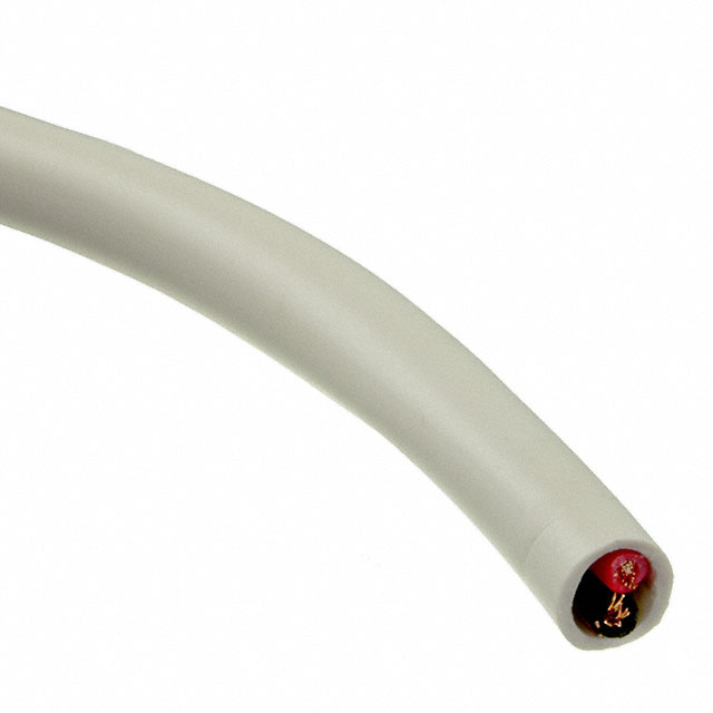 Cable-Audio-CL2_2-Conductors