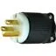 NEMA 5-15 PLUG