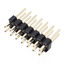 2131D2*10GSE 2131D2*10GSE