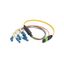 MPM6S-FLC-5 MPM6S-FLC-5