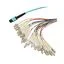 MPM24OM4-FLCR-10 MPM24OM4-FLCR-10