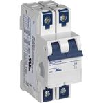 Altech Corporation-2D12UR Circuit Breakers Circuit Breaker Supplementary Protector 2Pole 12A 277VAC/480VAC