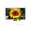 ACN800480A00-7.0N12NSM-R