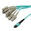 LCCA31121-FT1 LCCA31121-FT1