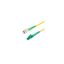 FCA-PM15FCALCA-3-01 FCA-PM15FCALCA-3-01