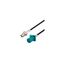 LCCA31234-FT1 LCCA31234-FT1