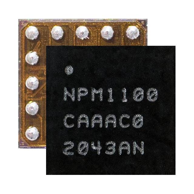 nPM1100 PMIC_Front and back