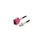 LCCA31093-FT1 LCCA31093-FT1