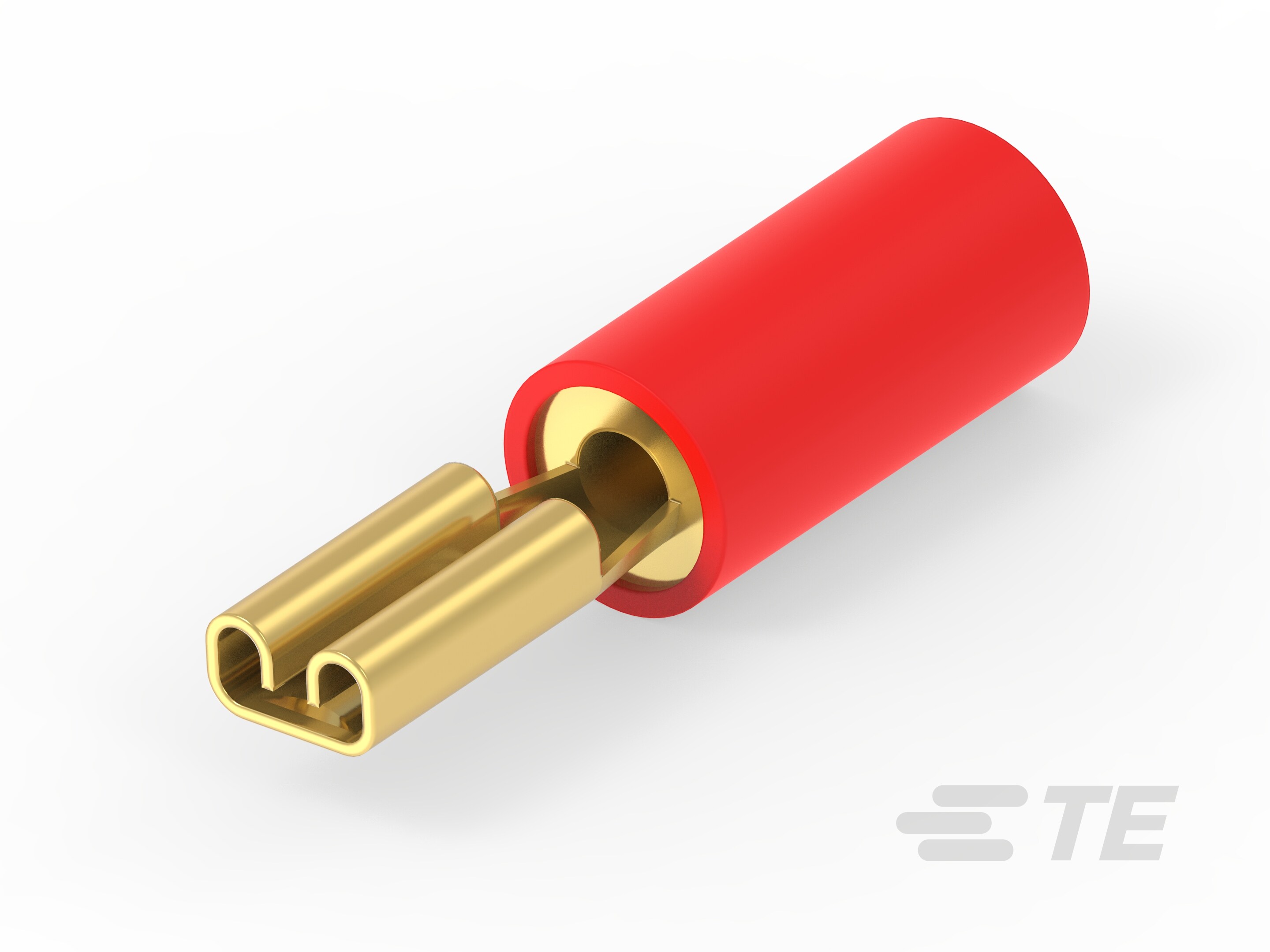 TERM,RECPT,PIDG,110 FAST, 22-16, PHBR,AU-165565-6