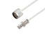 LCCA30569-FT6 LCCA30569-FT6