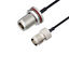 LCCA30656-FT1 LCCA30656-FT1