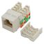 FE-KEY-CAT6SLM-WH FE-KEY-CAT6SLM-WH