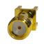 SASF546-P26-X1 SASF546-P26-X1