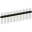 PEC21SAEN