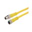 TRG317-C4Y-5M TRG317-C4Y-5M
