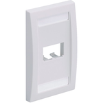 Panduit-CFPE2IWY Connector Accessories Connector Accessories Faceplate Straight Acrylonitrile Butadiene Styrene Off White Mini-Com®