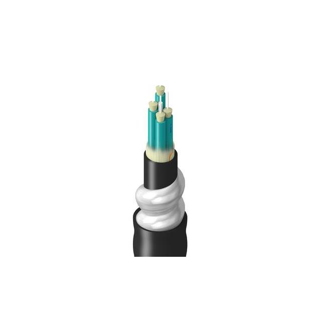 TF-3BB-004-RI5N TF-3BB-004-RI5N