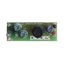 AP3917BEV1 AP3917BEV1