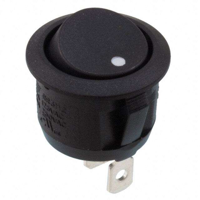 RR3112DBLKBLKNAF0 RR3112DBLKBLKNAF0