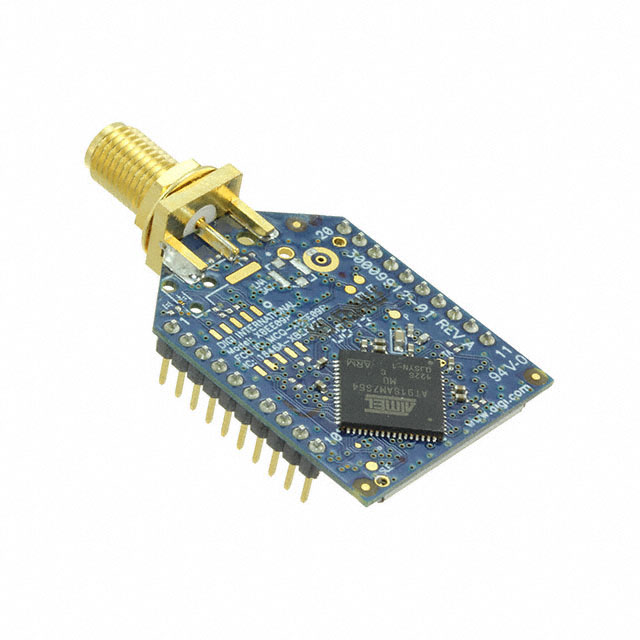 XBP09-DMSIT-156 XBP09-DMSIT-156