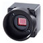 STC-S133UVC-DALCS