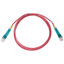 C31-8020m-PK10FT C31-8020m-PK10FT