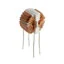 SC-02-10G SC-02-10G