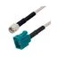 LCCA31479-FT1 LCCA31479-FT1