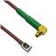 CBG-IPXLK-MCLMGT-6IN CBG-IPXLK-MCLMGT-6IN