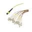 MPM12OM5-FLCR-05 MPM12OM5-FLCR-05