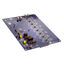 DC4308P-DAC DC4308P-DAC